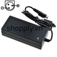 Adapter nắn dòng 24V-2.0A/2.15A/2.5A 3 chân (TRP, LBP)