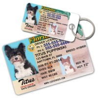 Phôi thẻ nhựa ID chất liệu PET